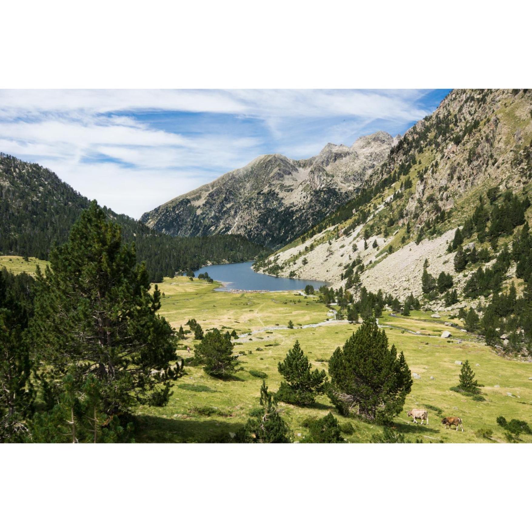 Charmant T3 Avec Vue Montagne Et Parking Privatif Font-Romeu-Odeillo-Via Extérieur photo